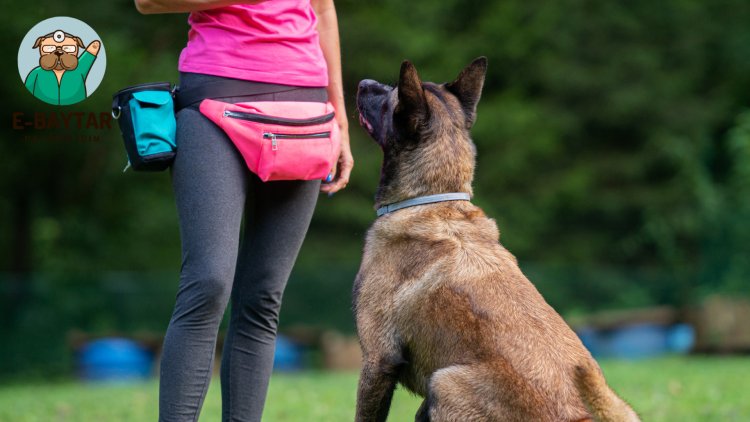 Köpek eğitiminde pozitif güçlendirme hakkında bir resim, bir köpeğin ödül alırken görülüyor.